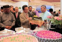 Brunei’s largest village product expo launched