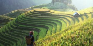 Brunei agri-businesses invited to apply for AGROW Awards