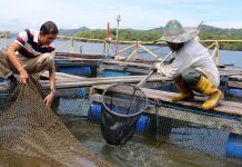 A life after service