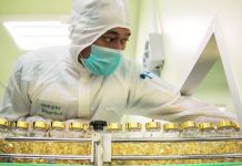 Food & Beverage standards: How do you get internationally certified?