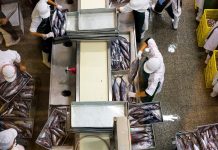 Golden Corporation seeking out partnerships with local businesses