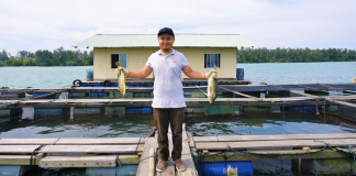 The Syariah graduate farming fish off the coast of Pelumpong