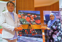 Brunei’s first strawberry plantation targeting commercial harvest in 2019