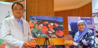 Brunei’s first strawberry plantation targeting commercial harvest in 2019