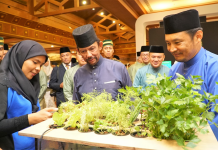 ‘No more excuses’ for not developing agriculture, says His Majesty