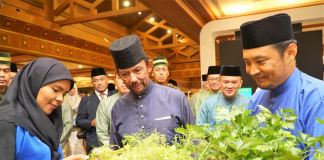 ‘No more excuses’ for not developing agriculture, says His Majesty