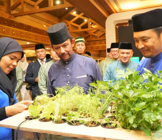‘No more excuses’ for not developing agriculture, says His Majesty