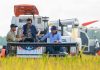His Majesty harvests Brunei’s newest hybrid rice Sembada188