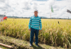 How this retired Lieutenant Colonel led the revival of Wasan, Brunei’s biggest rice farm