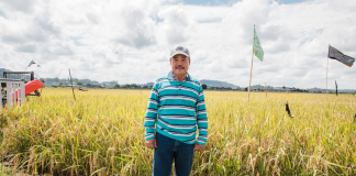 How this retired Lieutenant Colonel led the revival of Wasan, Brunei’s biggest rice farm