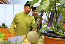 Brunei agriculture output up 13% in 2018; gov’t pledges more farmland and support