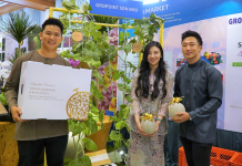 Superfish Growers have begun planting world’s most expensive melon in Brunei