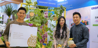 Superfish Growers have begun planting world’s most expensive melon in Brunei