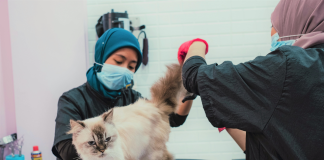 Si Manja Pet Grooming Spa expands with cat boarding