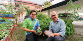 Inside the home-based aquaponics farm shortlisted for Shell Global’s Innovator Awards