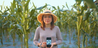 Can Agrome usher Brunei’s farms into the digital era?