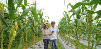 Agrome IQ launches Brunei’s first online marketplace for farmers