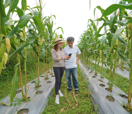 Agrome IQ launches Brunei’s first online marketplace for farmers