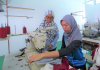 i-Ready trainees launch startup manufacturing garments for export