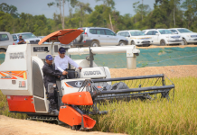 Kandol first harvest exceeding expectations