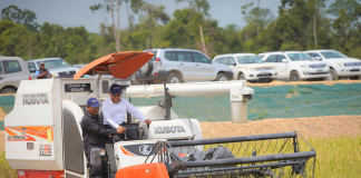 Kandol first harvest exceeding expectations