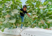 DARe to help businesses get Brunei Good Agricultural Practice certification