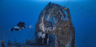 From dive club to industry leader: the story behind Poni Group