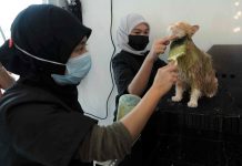 Si Manja Pet Grooming Spa opens Sengkurong branch