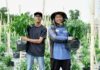 Inside the AgroBiz project that trained Bruneian youth to farm