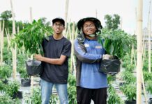 Inside the AgroBiz project that trained Bruneian youth to farm