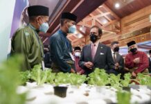 His Majesty calls for youth entrepreneurship to strengthen economy