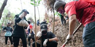 Brunei now has its own tree planting app that also calculates your carbon footprint atmosphiere launch