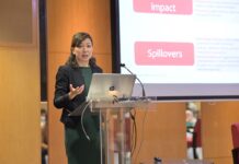 Call for art council establishment to support industry’s development CEO of SynARTgy Dr Yap delivering her presentation on arts and culture industry