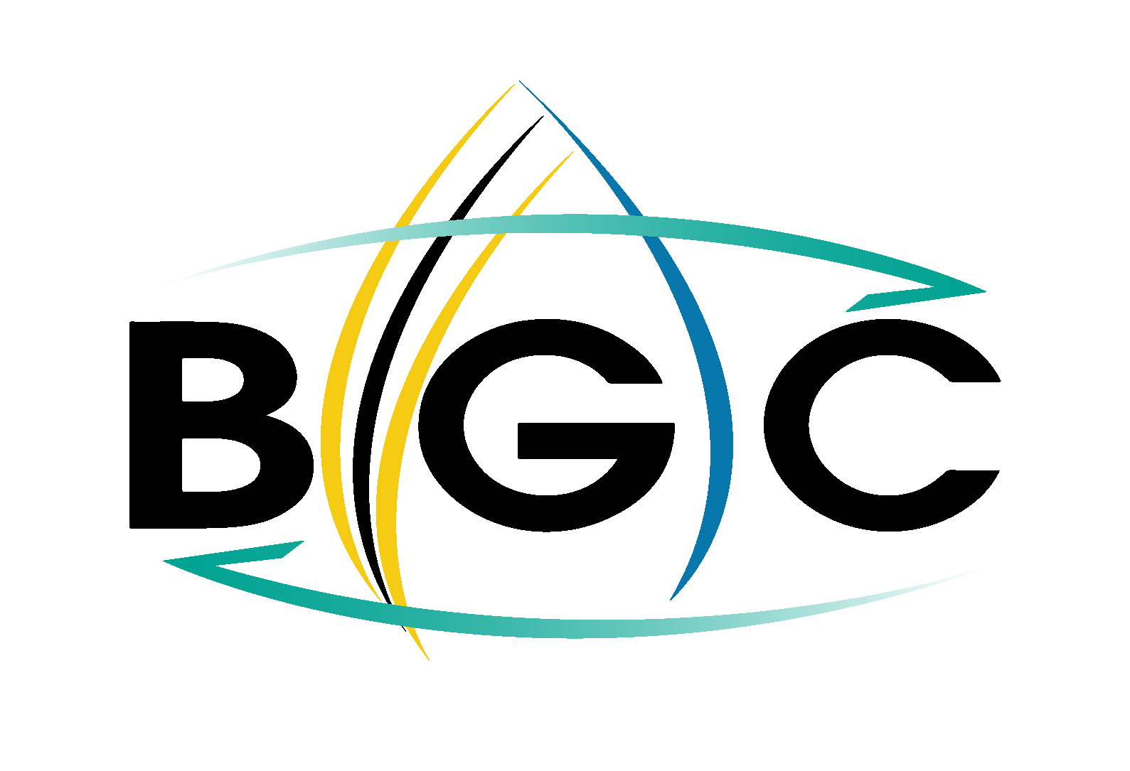 Focus on Brunei Gas Carriers - Biz Brunei