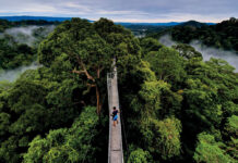 Powering growth from the land: MPRT Minister