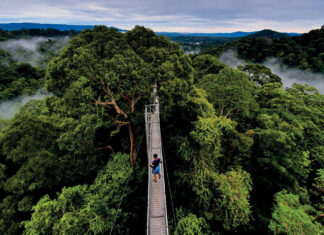 Powering growth from the land: MPRT Minister