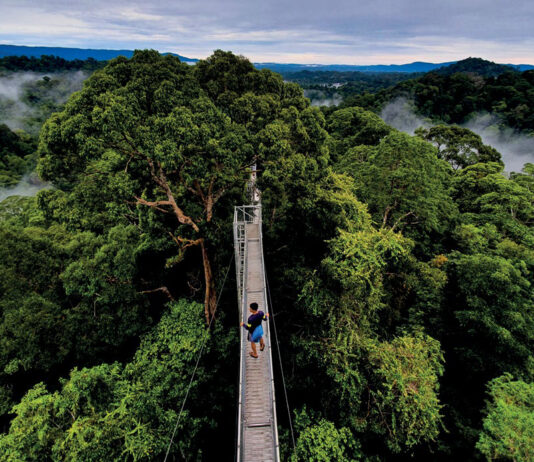 Powering growth from the land: MPRT Minister