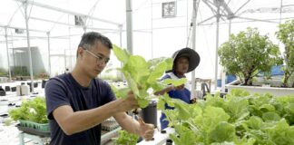 How a teenager’s AI solution helped this sustainable farm reach customers directly