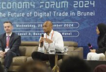 Simplifying Brunei’s upcoming Digital Payment Hub