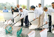Brunei launches Southeast Asia’s first net-zero, solar-powered shrimp farm MoFE Minister II YB Dato Dr Haji Mohd Amin Liew (centre) and MPRT Minister YB Dato Dr Haji Abdul Manaf (on his left) perform the first stocking of blue shrimp fry at Jets' new Serasa facility.